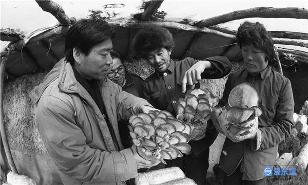 老照片中的东营故事15