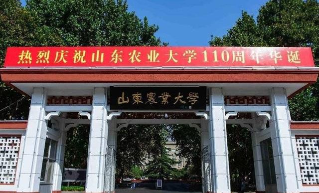 一封来自山农大辅导员老师的深度观察