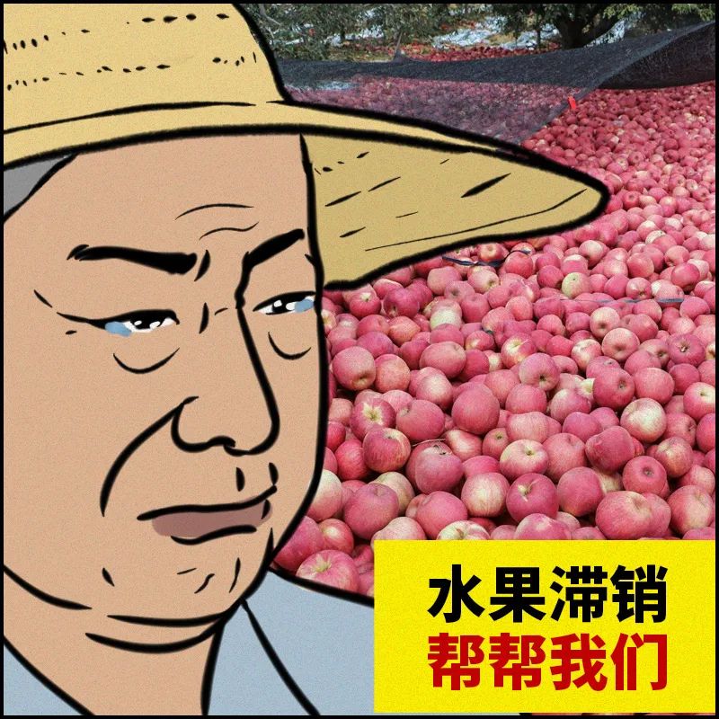 不住 被相中参加说唱综艺,成为battle king,一朝成名 3 农民水果滞销