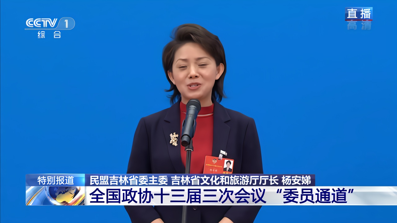 杨安娣委员发展冰雪让冷资源变热产业