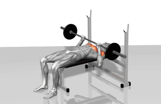 健身一定要练这个部位否则腰再细臀再翘身材也不美