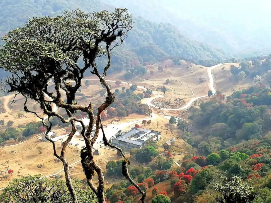 永德风光,不一样的美丽视角