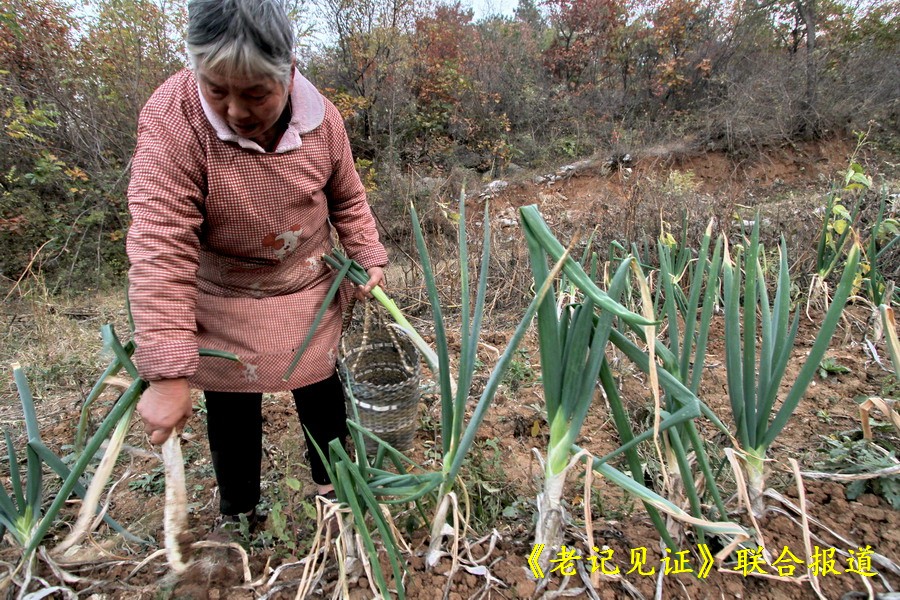 "老记"见证隐居守望在焦作修武大山里的爷们