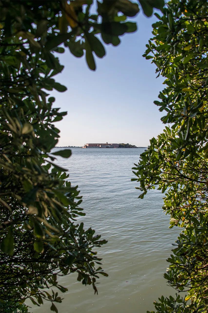 乔丹上脚aj1创拍卖记录,爱马仕推出新品香水「潟湖花园」|直男daily