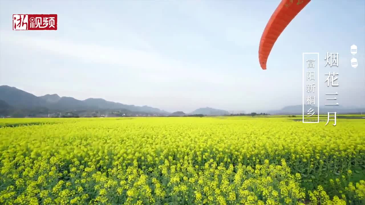 烟花三月丨看富阳新桐千亩油菜花海