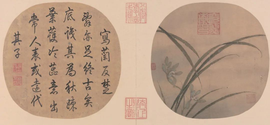 《秋兰绽蕊图》