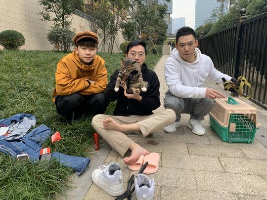 专访流浪猫救助平台和猫住一年救助超300只流浪猫背后也有纠结和痛苦