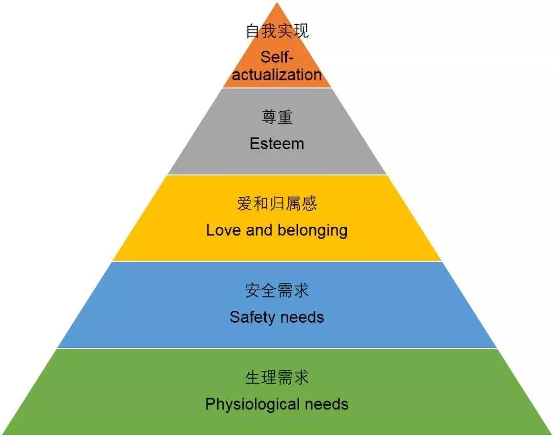 肖战帮人口_肖战帮杨紫提裙子图片(3)