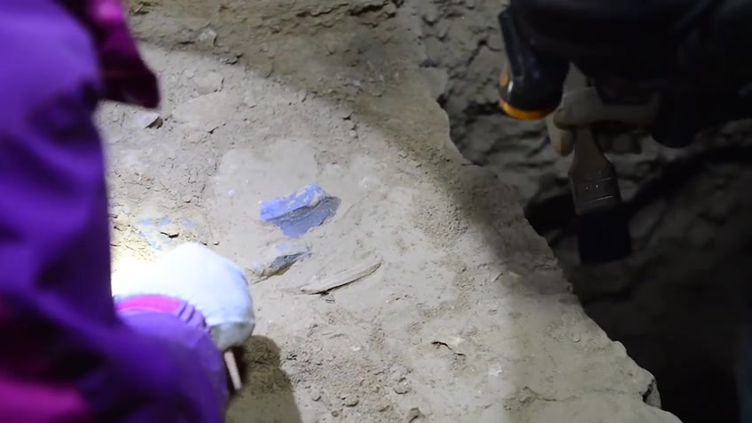 甘肃发现距今16万年以上、最早占据青藏高原的丹尼索瓦人