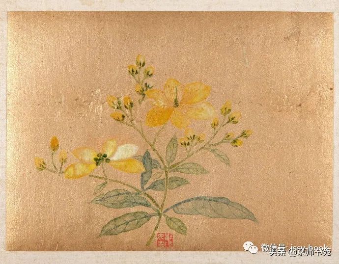 明代仇珠《花卉冊頁十開》__凤凰网