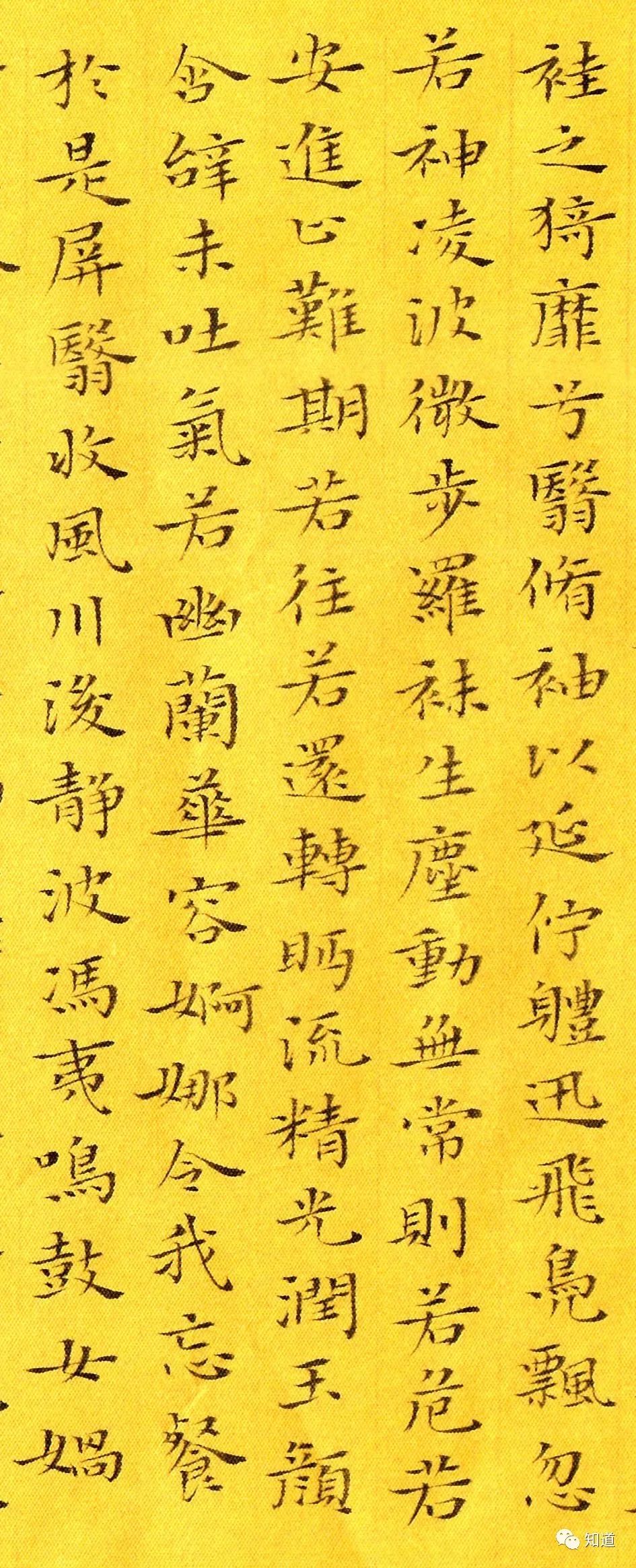 knowart杨文彪小楷洛神赋