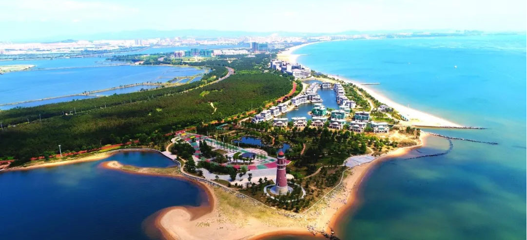 荣成海带季晟启邀您品尝海的味道