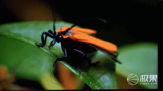 创维Q71深度测评:万元级全程8K电视来了