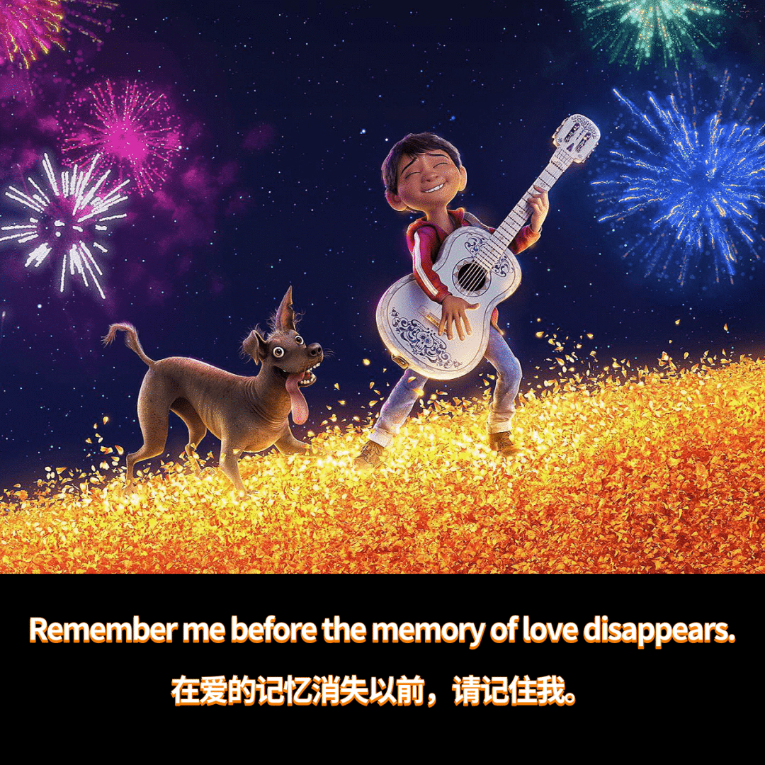 在爱和记忆消失前请记住他们