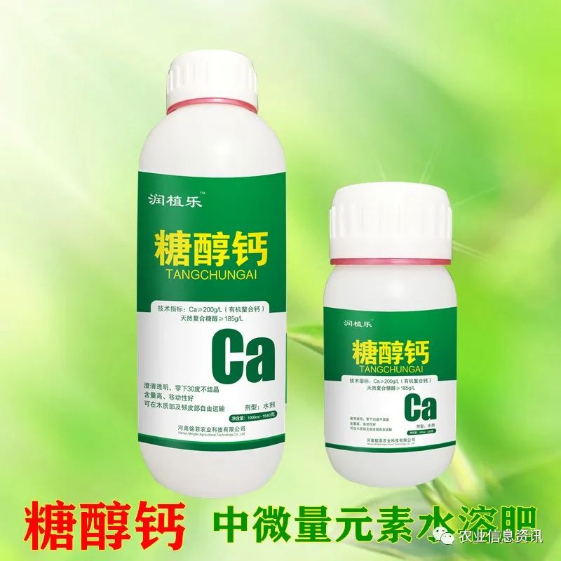 糖醇钙为何广受追捧?芒果补钙竟如此重要
