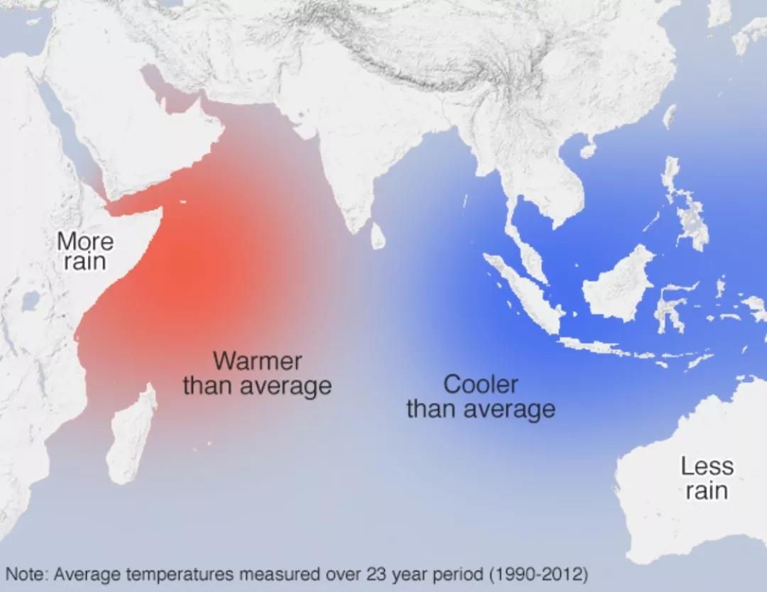 东非沙漠蝗虫肆虐或与气候异常变化有关(肯尼亚)