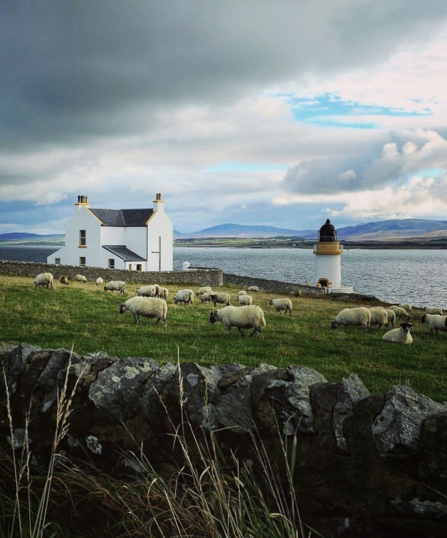 酒鬼说酒 | 不知道 islay(艾雷岛)就不要开口谈whisky!