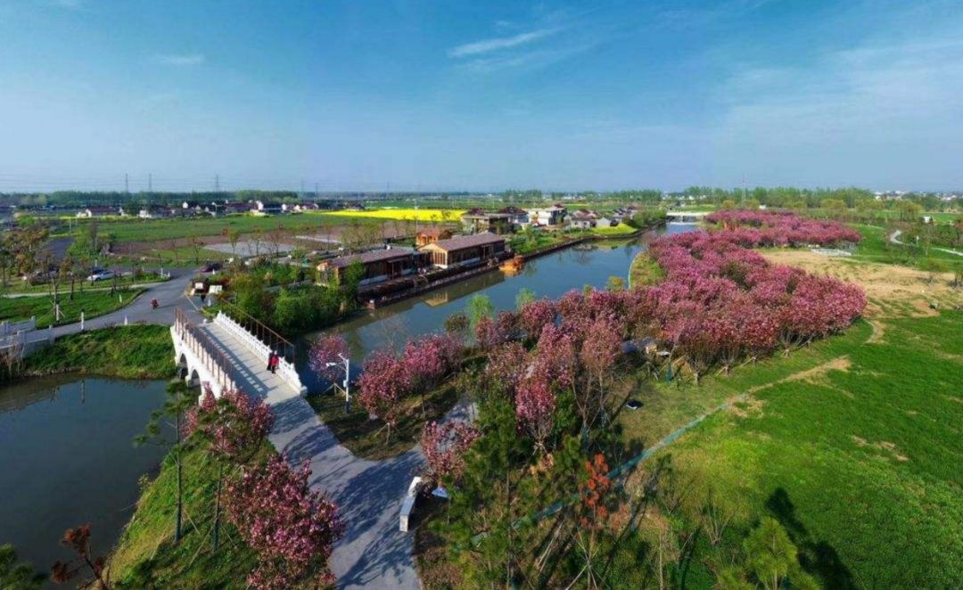 东罗村姜堰区三水街道小杨村↓↓↓分别是泰州2个村上榜打开凤凰新闻