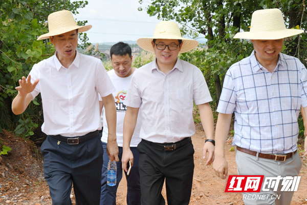 湖南省委组织部脱贫攻坚第六考察组副组长马缤辉(中)深入攸县渌田镇新