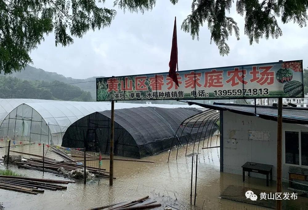 仙源鎮龍山村家庭農場被淹.