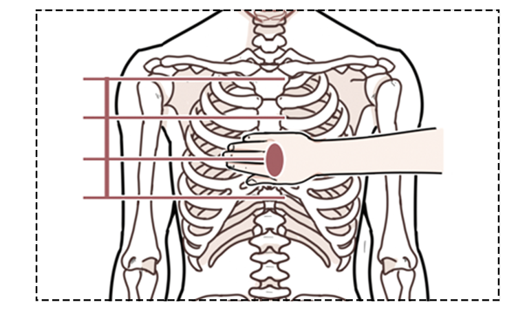 也就是胸骨中下1/3处一般取两乳头连线中点第二步,确认按压位置第一步