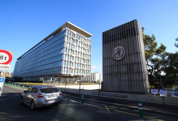 世卫组织:对是否宣布肺炎疫情为"突发公共卫生事件"存分歧