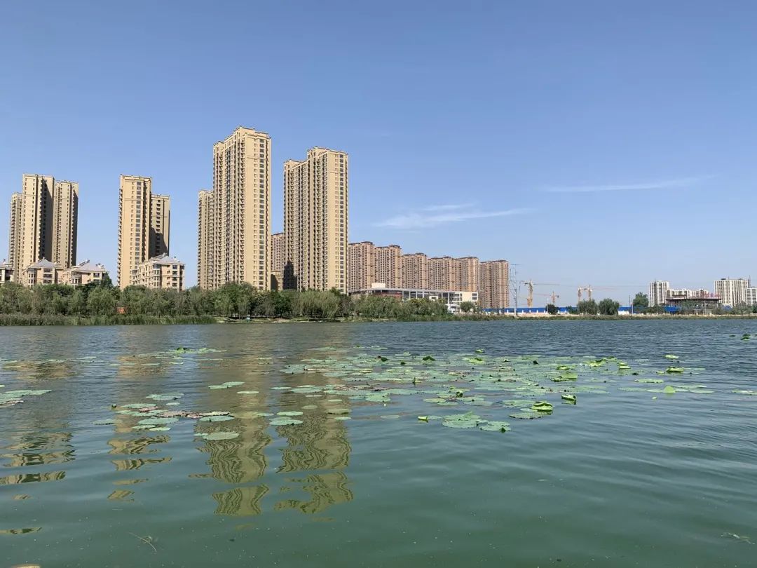 9月16日上午,牡丹晚报全媒体记者来到市桂陵路的赵王河公园