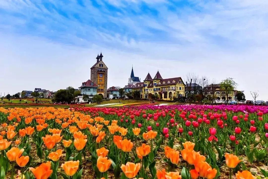 战疫护士与新冠患者的一个约定