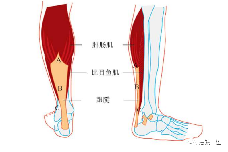 张一山出轨实锤新欢身材竟然比宋妍霏的漫画腿直角肩还要绝