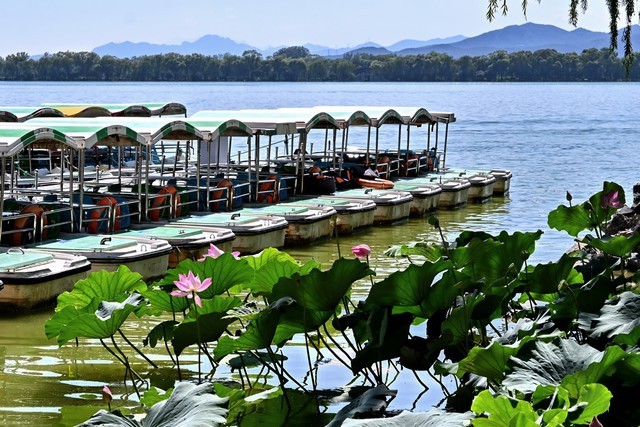 尼康Z DX 16-50mm f/3.5-6.3 VR测试