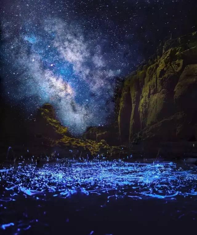脚踏星辰是神马感觉?火速围观福建蓝眼泪