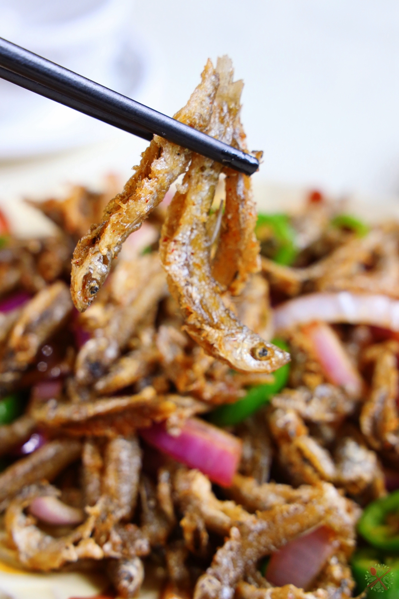 广州增城白水寨自驾游,住网红民宿看瀑布,还能摘水果吃烧鸡