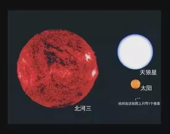 地球上还有大型未知生物吗
