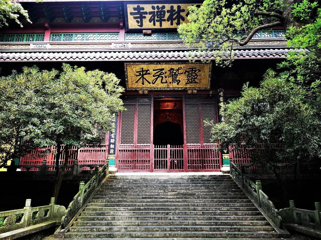 修行人为什么要善护口业?__凤凰网