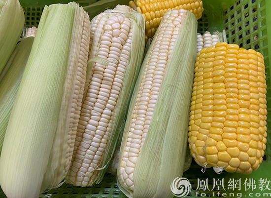 夏季多吃这几种食物 除湿气效果好