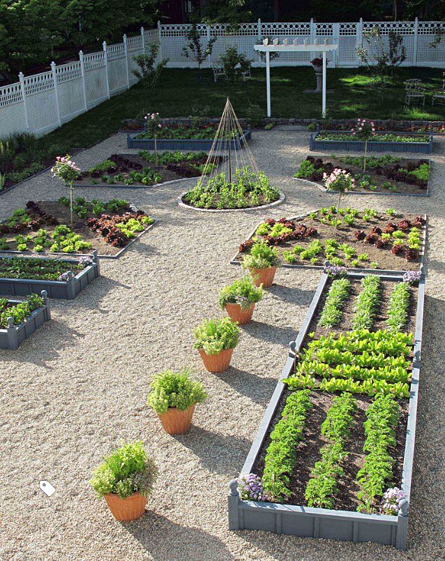 这样去种菜,还需要什么花园!