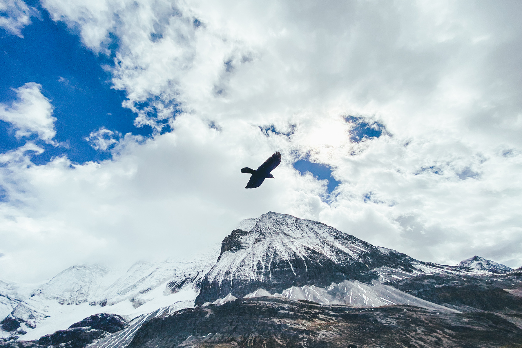 颜值为主更换iphone12后我为女王大人准备了这些配件
