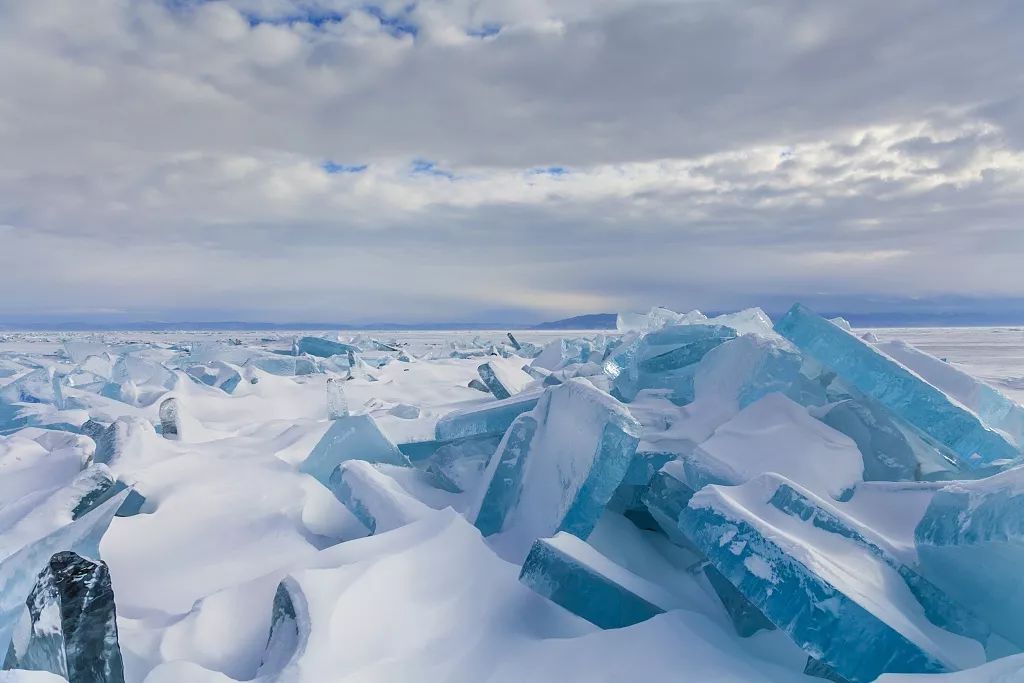 北极圈高烧38度围观者却在欢呼