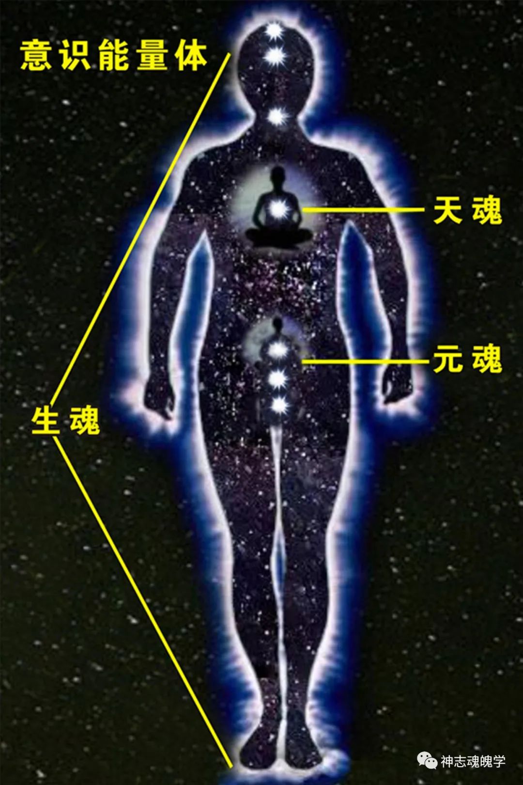 众生根本就不平等__凤凰网