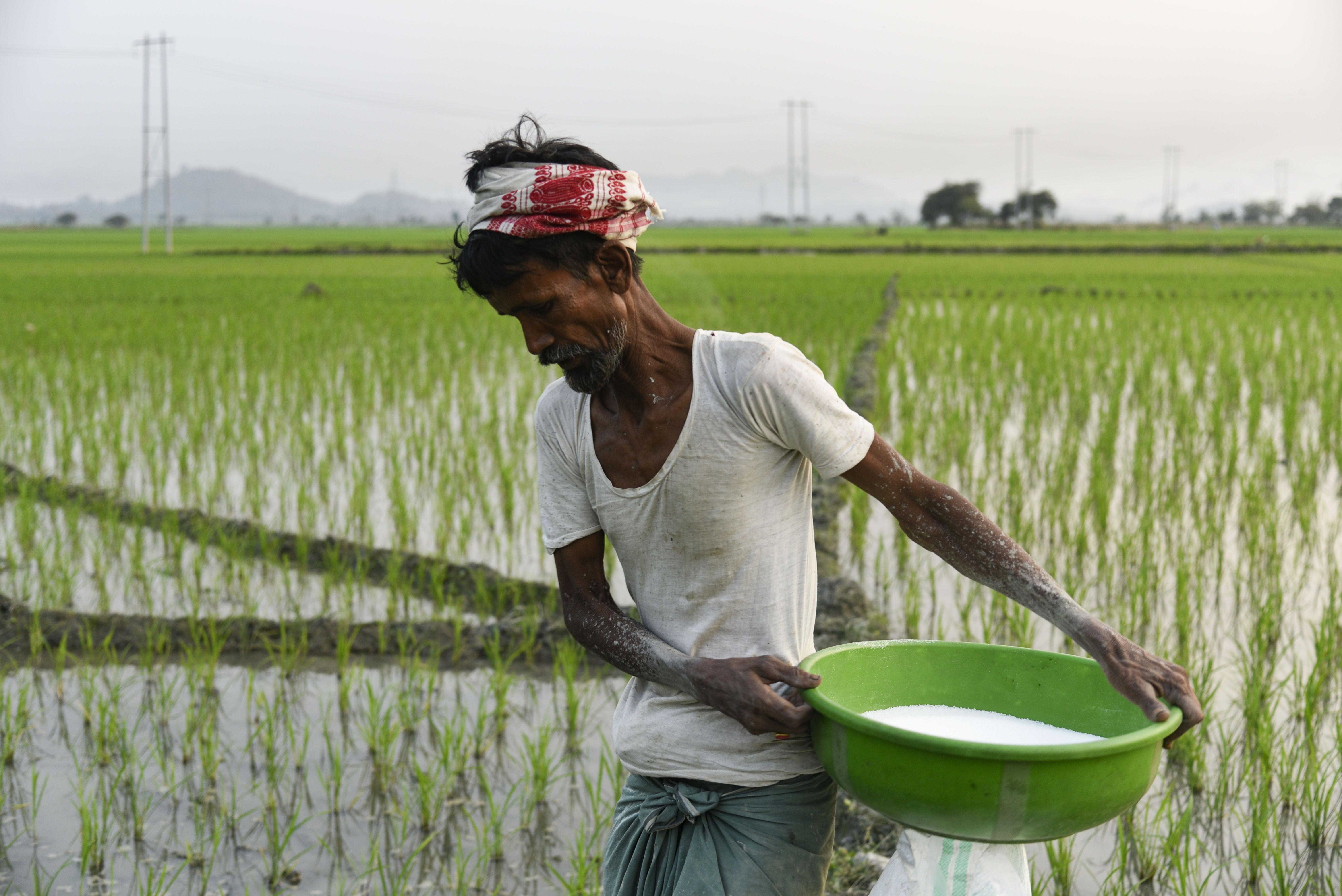 印度农民春耕忙