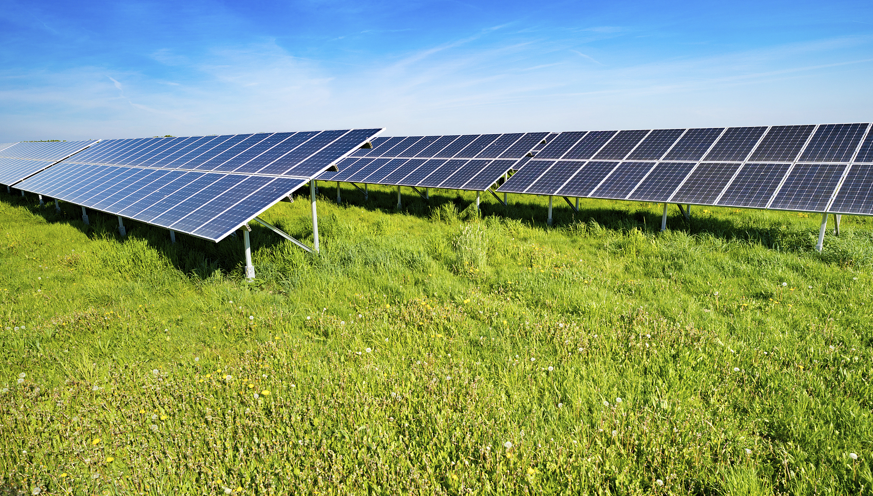 使用半透明的太阳能板种地的同时来发电