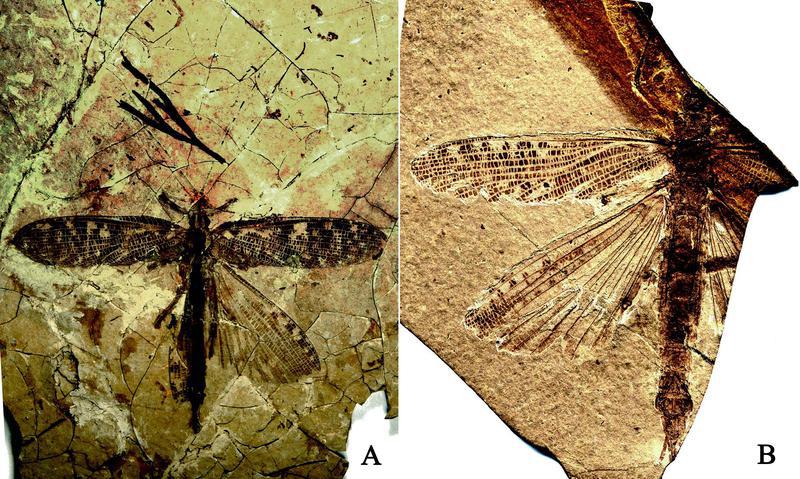 binary_middle (14).jpg