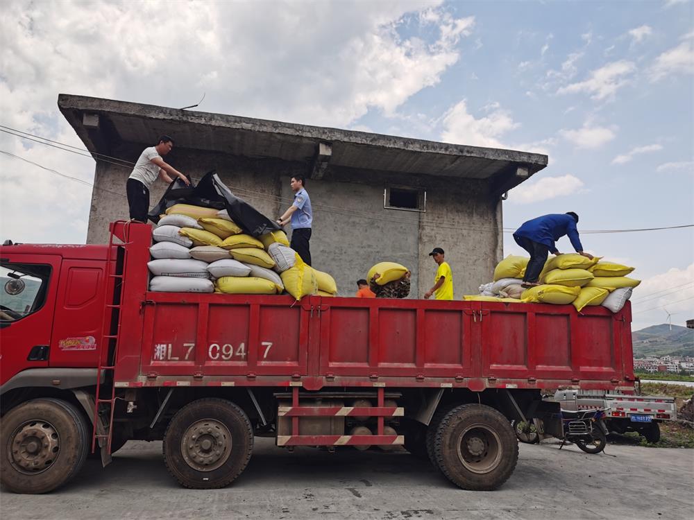 给8万斤稻谷的"特殊"财产保全