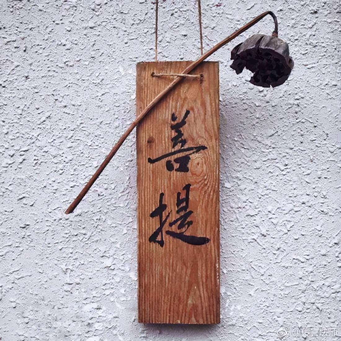 「佛教常识100问」第44问:何谓菩提心?