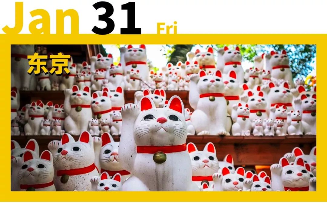 供奉上千只招财猫的萌寺庙！赶紧云拜拜保平安__凤凰网