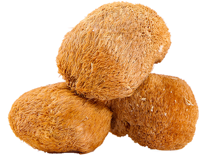 猴头菇属于药食两用真菌 , 尤其是其医药方面,具有健脾养胃,安神