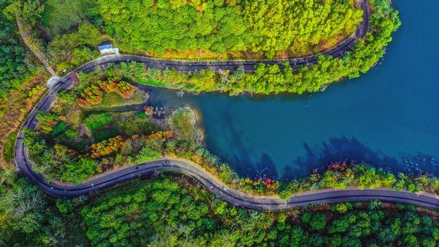 打開鳳凰新 黃牛埔森林公園位於東莞市黃江鎮