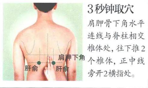 背部艾灸的位置图图片