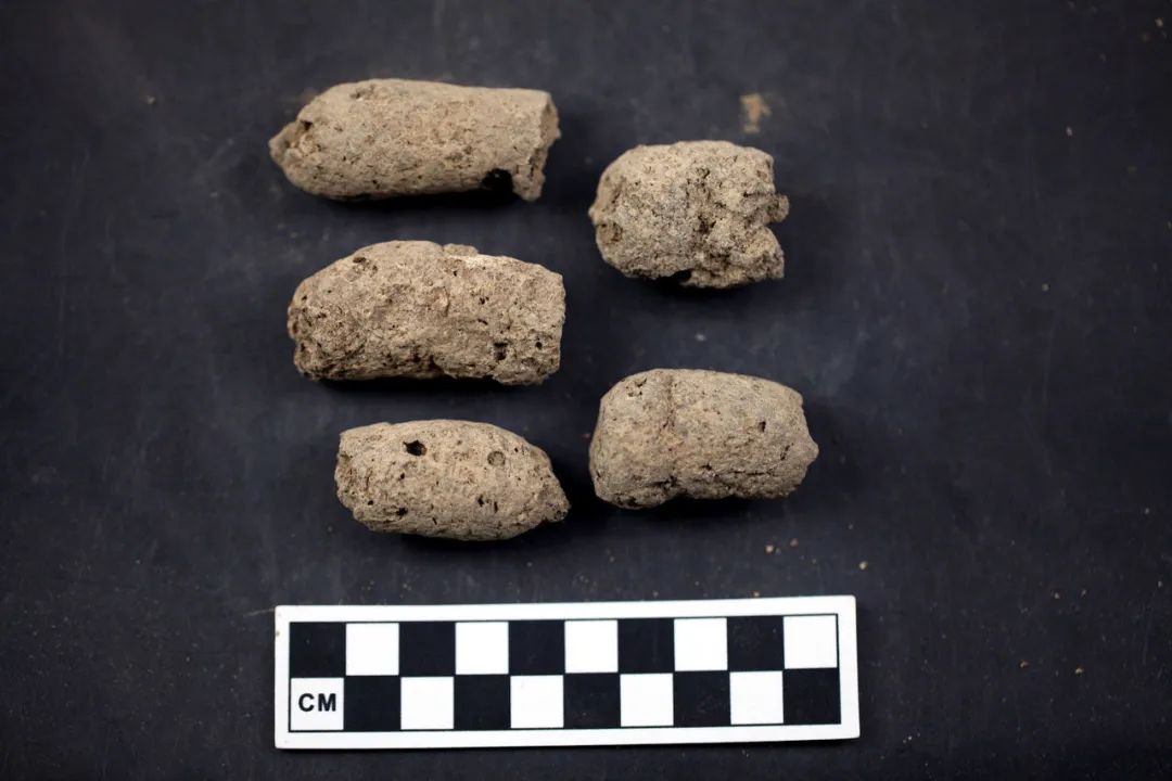 ai找到了新工作鉴定狗屎丨一周科技