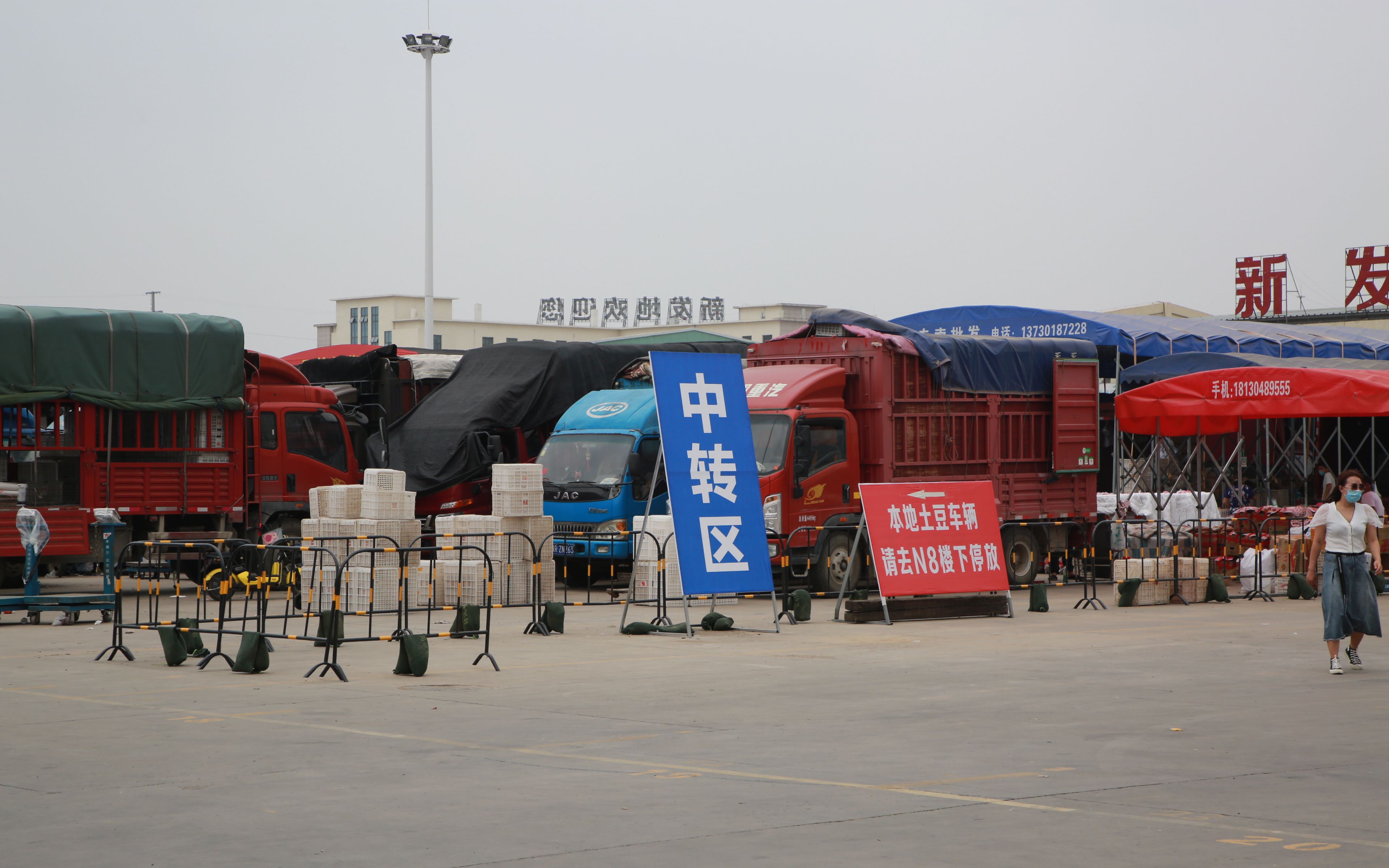 河北新发地兼职中转调运站,分层次对接北京市场需求
